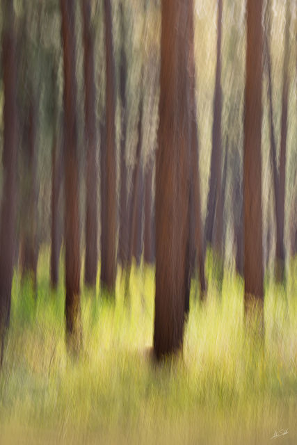 Quiet Giants