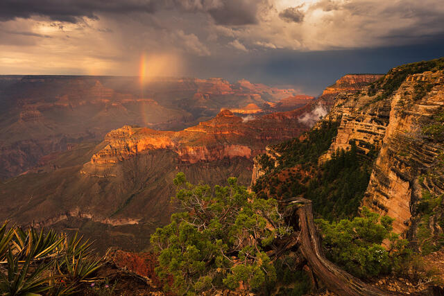 Yavapai Rainbow