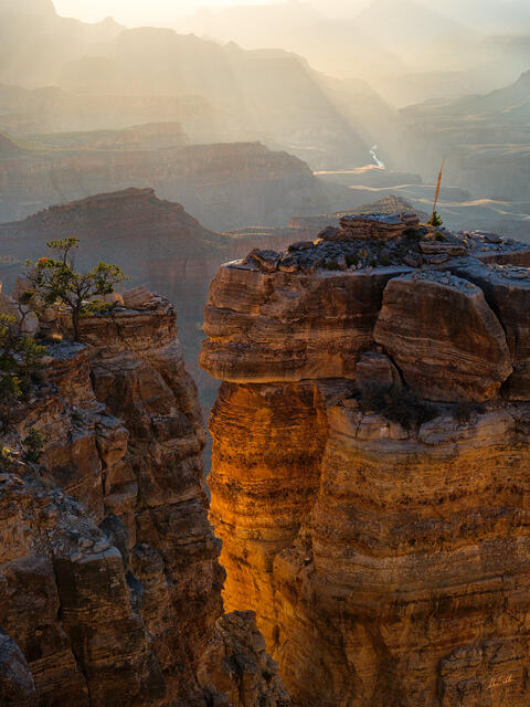 Light in the Gap