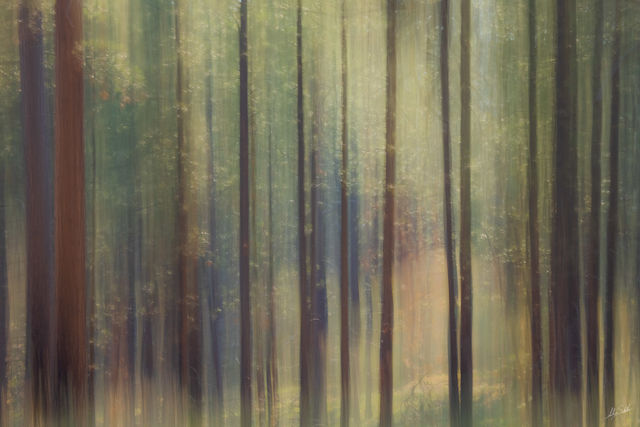 Sublime Dreams