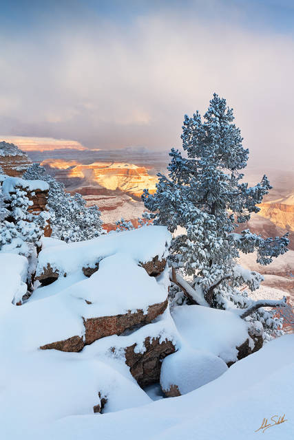 Winter on the Rim