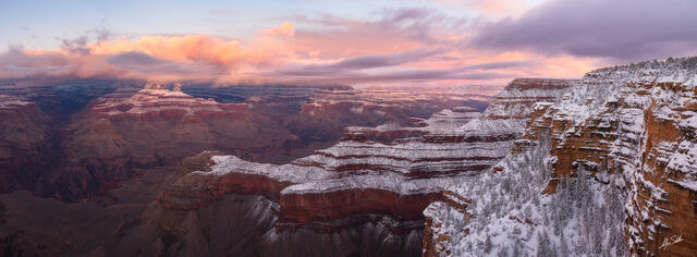 The Grace of Winter Light