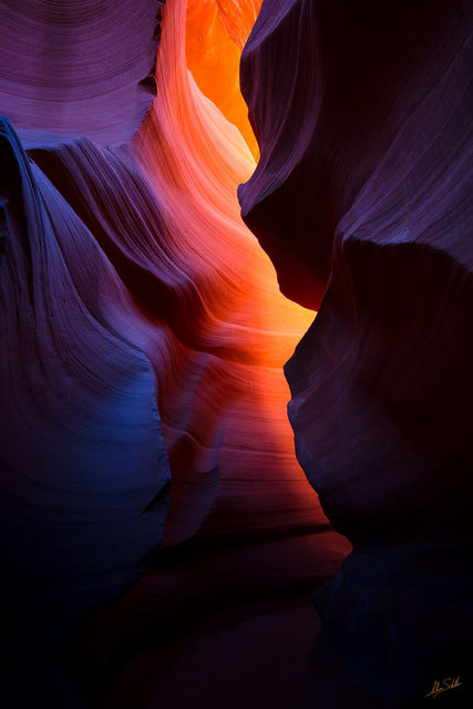 Following the Light