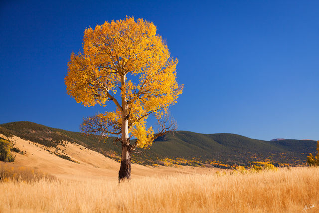 Fall in Valle Vidal