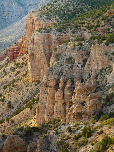 Bones of the Plateau