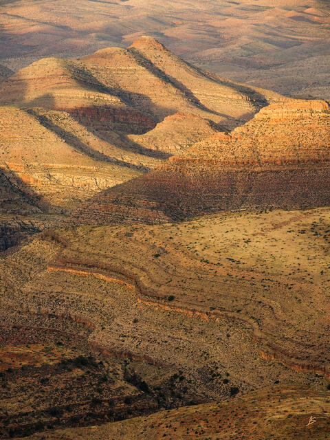 Brushstrokes Across the Desert