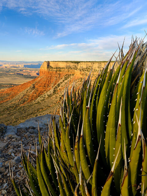 Morning Light at Twin Point
