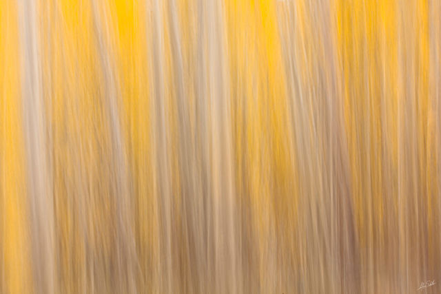 Yellow in Red River