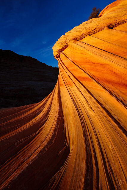 Catching Light on the Second Wave