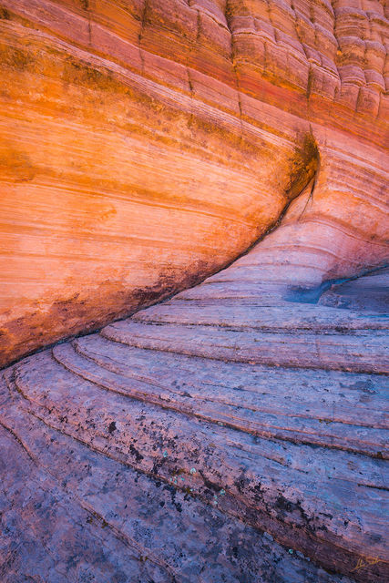 Twisted in Stone