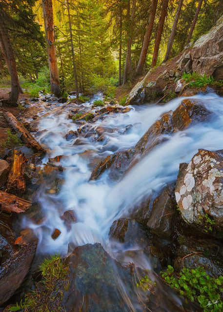 Wheeler Cascade