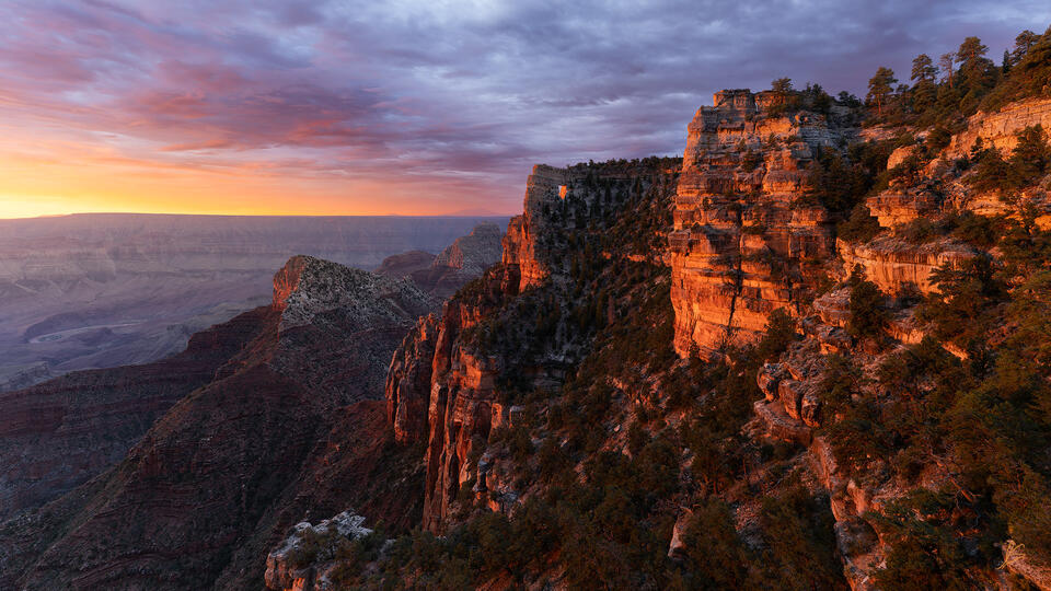 By Dawns Early Light