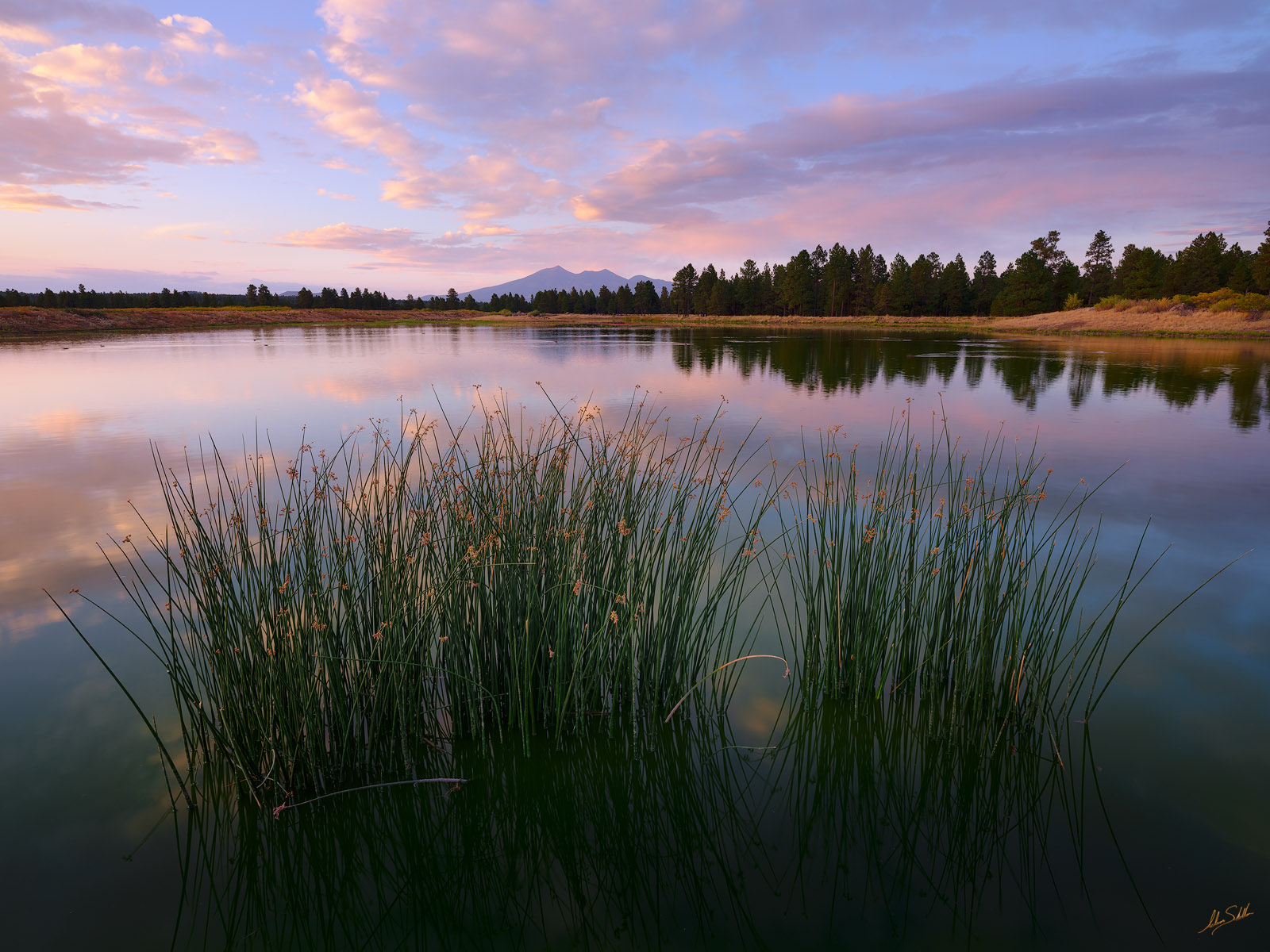 Kachina Peaks from Afar | Flagstaff, Arizona | Fine Art Landscape