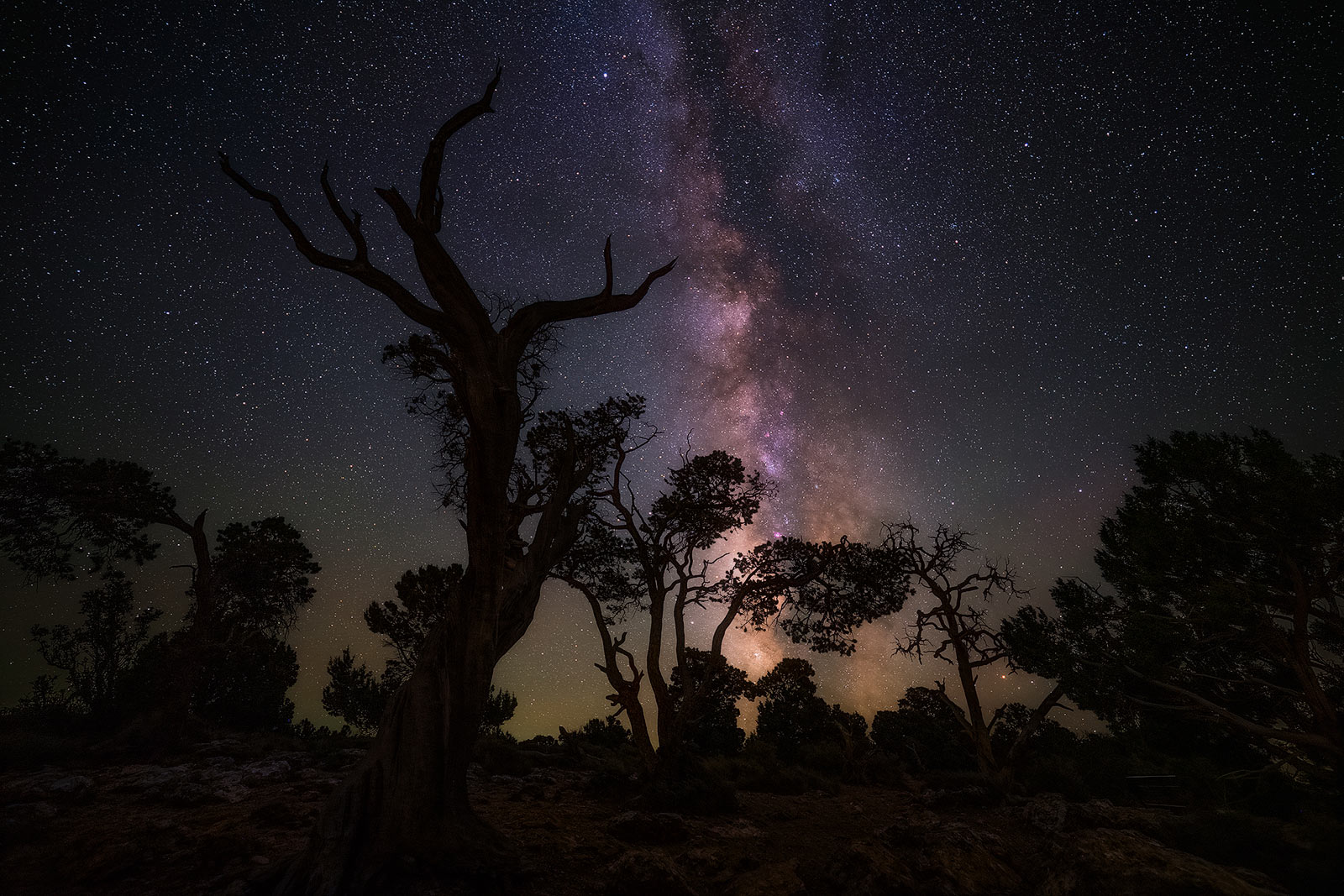 Sean Parker Milky Way Image courtesy of Sean Parker. © Sean Parker, All Rights Reserved.