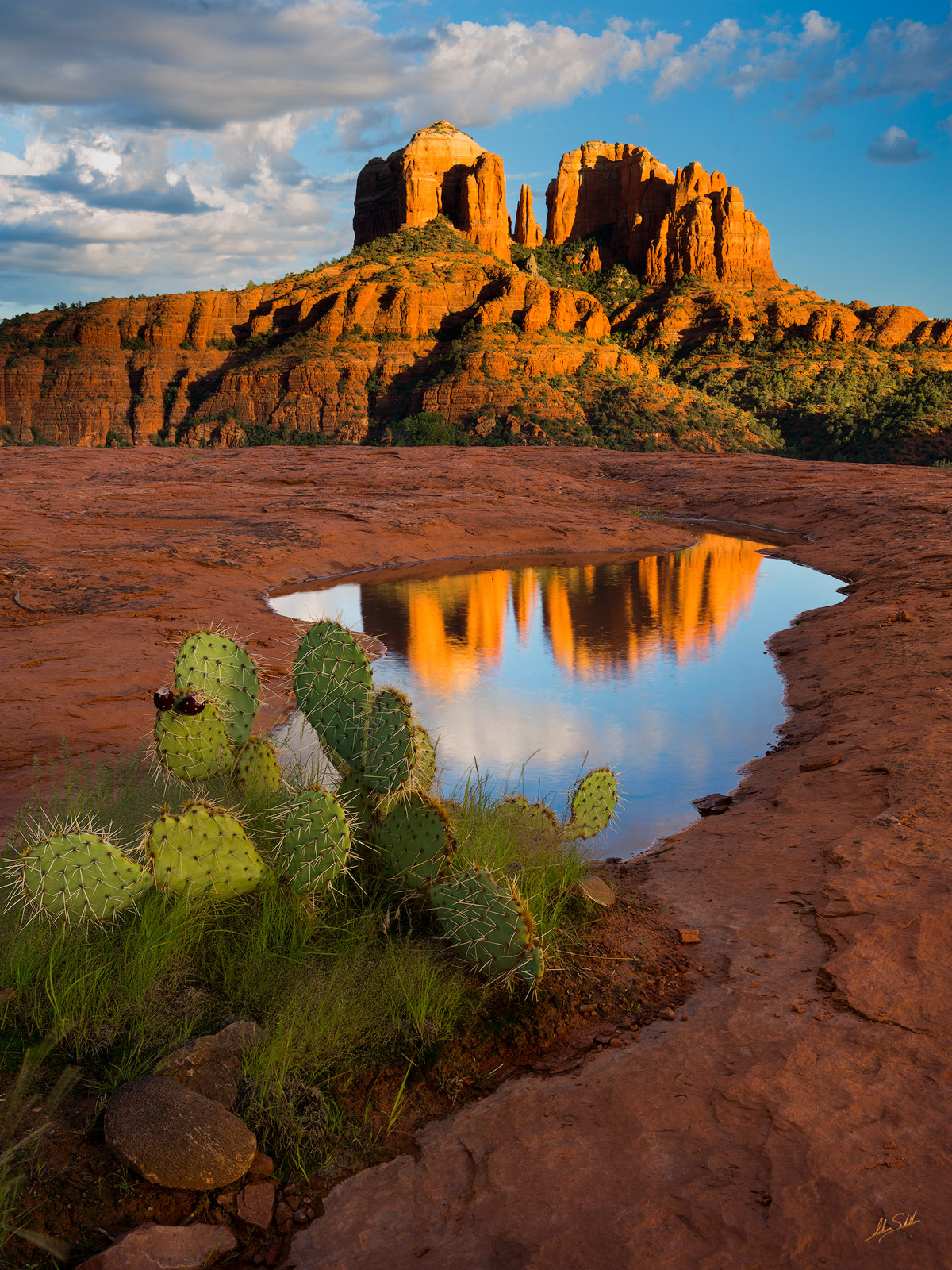 Cathedral Rock & Cactus | Sedona, Arizona | Fine Art Landscape